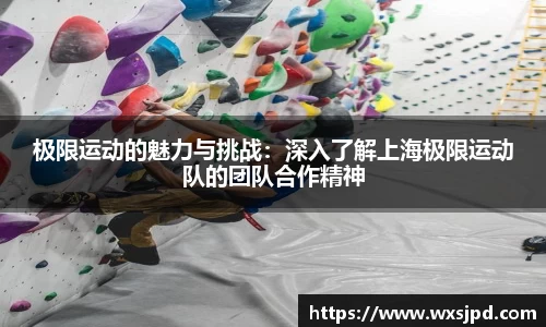 极限运动的魅力与挑战：深入了解上海极限运动队的团队合作精神